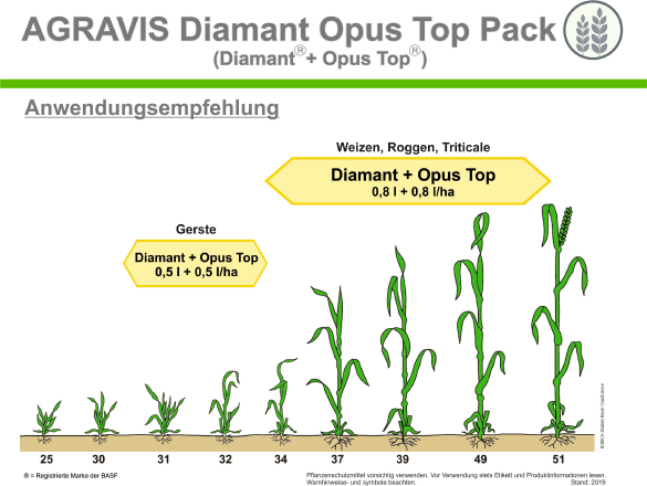 Diamant-Opus Top